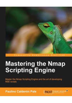 Mastering the Nmap Scripting Engine