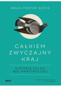 Całkiem zwyczajny kraj. Historia Polski bez..