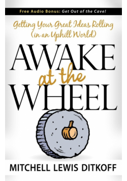 Awake at the Wheel