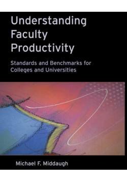 Understanding Faculty Productivity