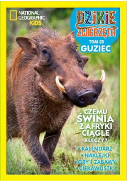 Dzikie Zwierzęta 23 GUZIEC