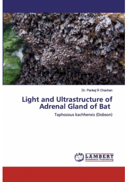 Light and Ultrastructure of Adrenal Gland of Bat