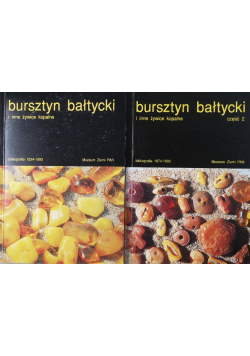 Bursztyn bałtycki i inne żywice kopalne Tom 1 i 2