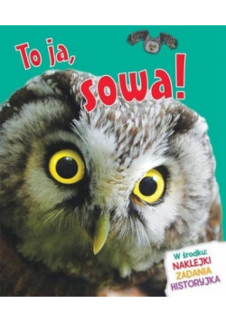 To ja, sowa!