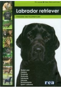 Labrador retriever