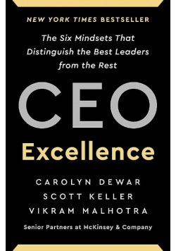 Ceo excellence
