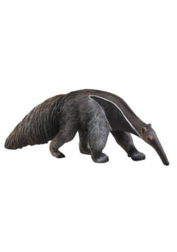 Mrówkojad