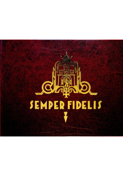 Semper fields Obrona Lwowa w czasach współczesnych reprint z 1930 r