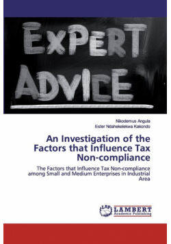 An Investigation of the Factors that Influence Tax Non-compliance