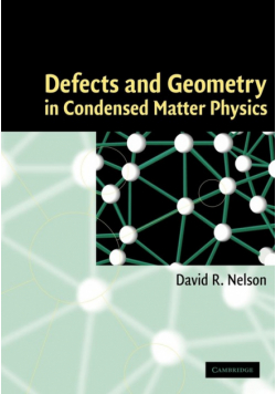 Defects and Geometry in Condensed Matter Physics