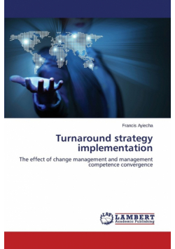 Turnaround strategy implementation
