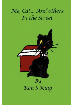 Me, Cat and Others in the Street