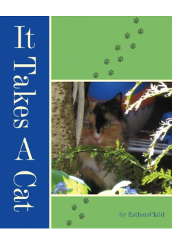 It Takes A Cat