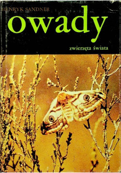 Owady