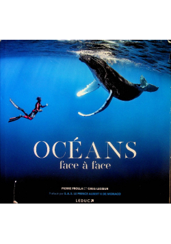 Oceans face a face