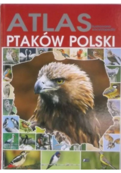 Atlas Ilustrowana encyklopedia ptaków Polski