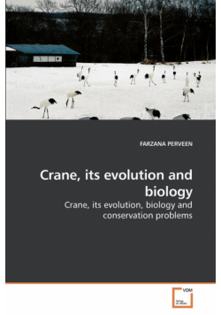 Crane, its evolution and biology