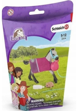 Bawiące się źrebie Horse Club