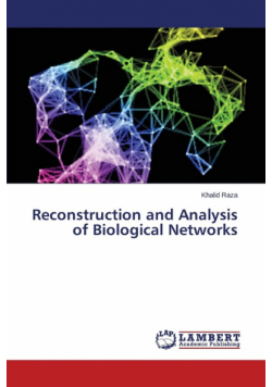 Reconstruction and Analysis of Biological Networks