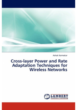 Cross-Layer Power and Rate Adaptation Techniques for Wireless Networks