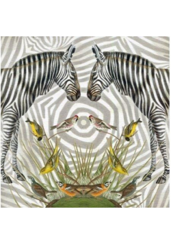 Karnet kwadrat z kopertą Zebra