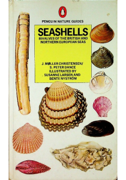 Seashells Bivalves of the British And Northern European Seas