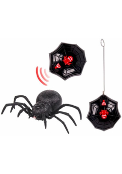 Tarantula na radio 23cm
