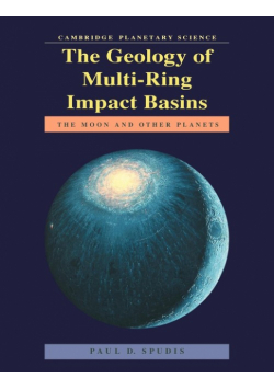 The Geology of Multi-Ring Impact Basins