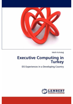 Executive Computing in Turkey