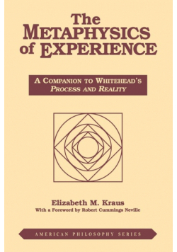 Metaphysics of Experience