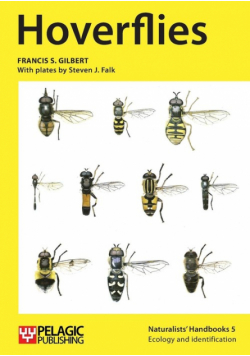 Hoverflies