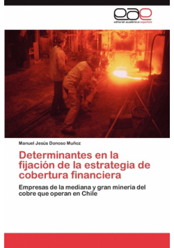 Determinantes en la fijación de la estrategia de cobertura financiera