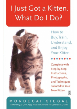 I Just Got a Kitten. What Do I Do?