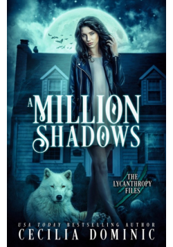A Million Shadows