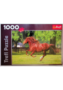 Puzzle 1000 Galop