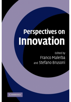 Perspectives on Innovation