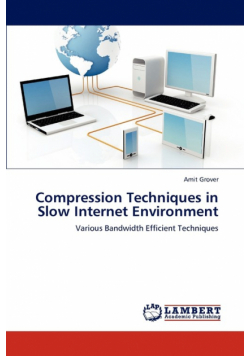 Compression Techniques in Slow Internet Environment