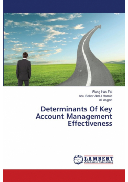 Determinants Of Key Account Management Effectiveness