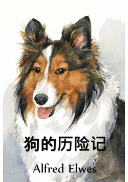 狗的历险记