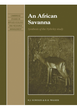 An African Savanna