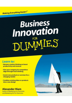 Business Innovation FD