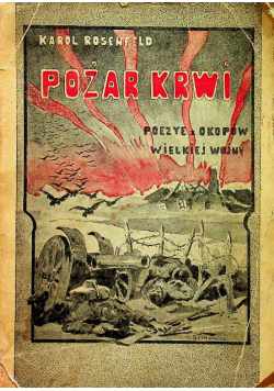 Pożar krwi 1919 r.