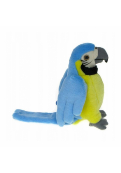 Papuga niebieska 25cm