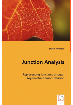 Junction Analysis