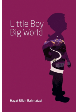 Little Boy Big World