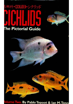 The Pictorial Guide