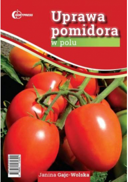 Uprawa pomidora w polu HORTPRESS