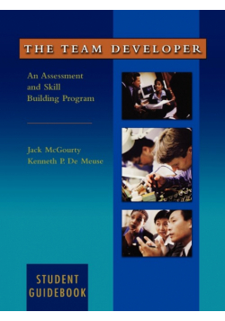 The Team Developer