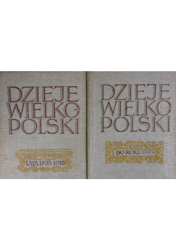 Dzieje wielkopolski tom I i II