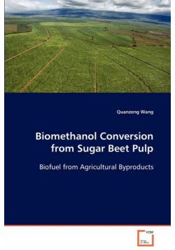 Biomethanol Conversion from Sugar Beet Pulp